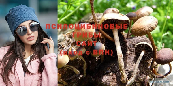 ALPHA PVP Алексин