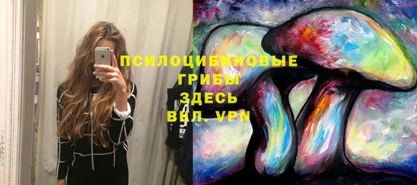 ALPHA PVP Алексин