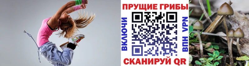 как найти   Чернушка  Галлюциногенные грибы GOLDEN TEACHER 